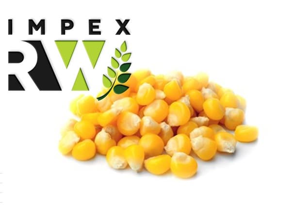 RW Impex from Ukraine exports yellow corn on favorable terms